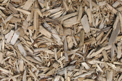 biomass boilers Longhirst